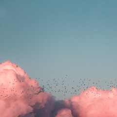 cloud nine