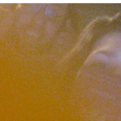 belang betaling zeggenschap