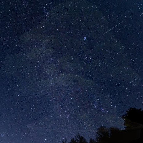 #Merry Christmas Mr.Lawrence_(CREADEL Remix) (prev)