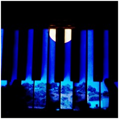Moonlight
