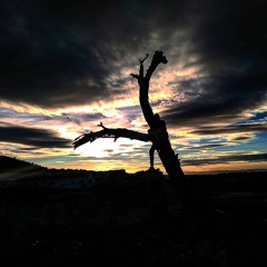 VRKOGABANO - SUB SOLEM