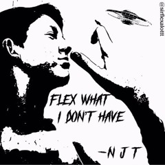 Flex What I Don't Have - N.J.T