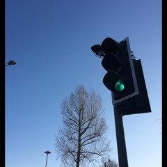 4 Electric Surveillance Vulture