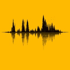 firewatch