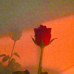 Juice Lee , Nigel Godrich - Riding Butterflies (TLVSN)