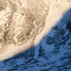 La Révolte Silencieuse