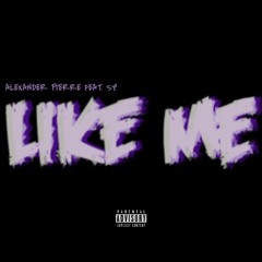 Like Me feat. SY!