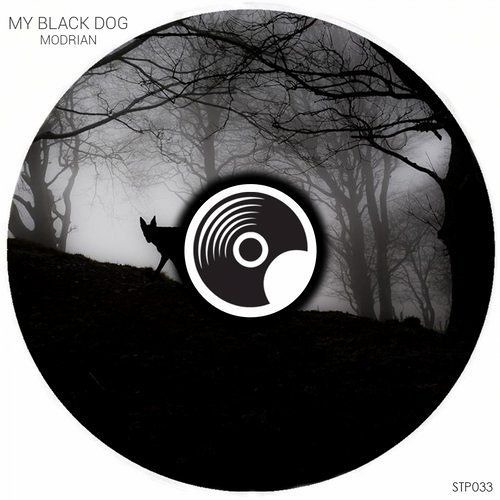 My Black Dog - Modrian
