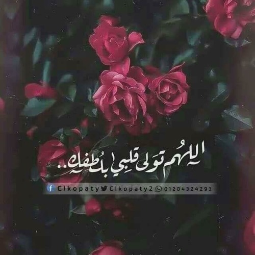 أجمل و أحلى إبتهال سمعتهُ للشيخ سيد النقشبندي أغيبُ و ذو اللطائفِ لا يغيبُ - 1