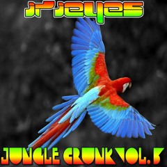 Jungle Crunk Vol 3 LIVE from Envision Festival
