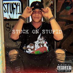 Stuck On Stupid
