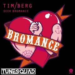 Tim Berg - Seek Bromance (TuneSquad Bootleg) Click Buy For Free DL!