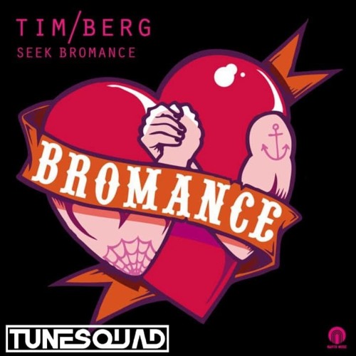 Tim Berg - Seek Bromance (TuneSquad Bootleg) Click Buy For Free DL!