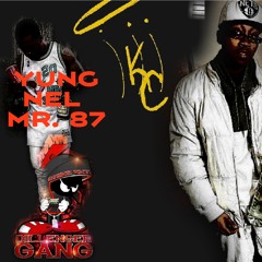 Yung Nel and iii Introduction