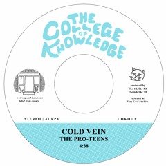 The Pro-Teens - Cold Vein