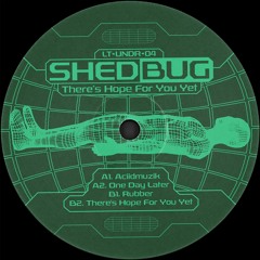 LT-UNDR-04 // Shedbug - There's Hope For You Yet