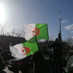 Pour l'Algérie libre, ép. 5 : "Jamais l'Algérie ne tombe !" (rassemblement du 17 mars 2019 à Paris)