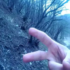 С3ГанYeah(ft.glumgold)