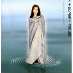 辛曉琪 - 倆倆相忘