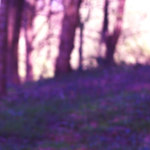 sleep deprived vip x puppy love