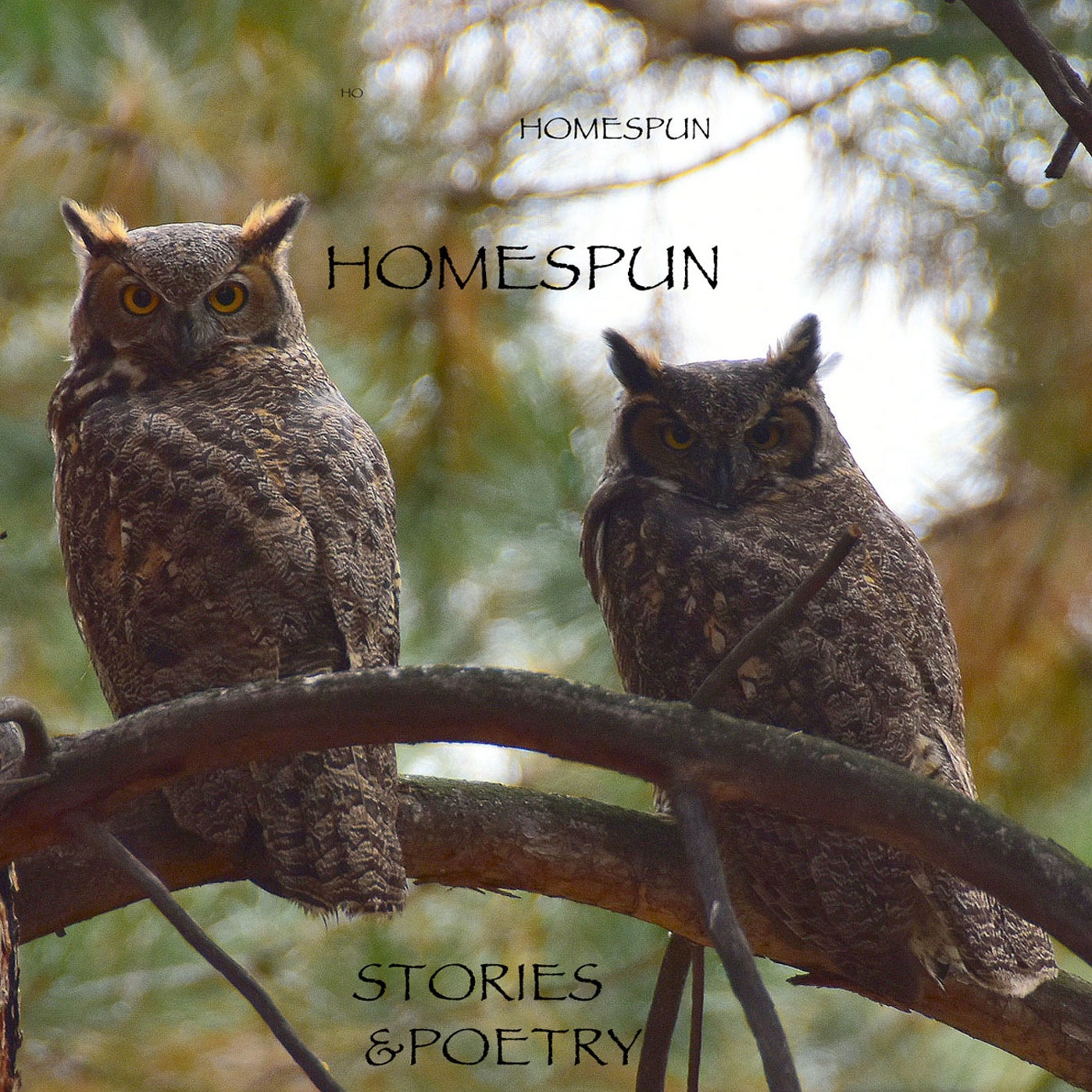 HOMESPUN,  Stories & Poetry