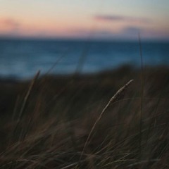 "The End Of The World" - Skeeter Davis (cover)