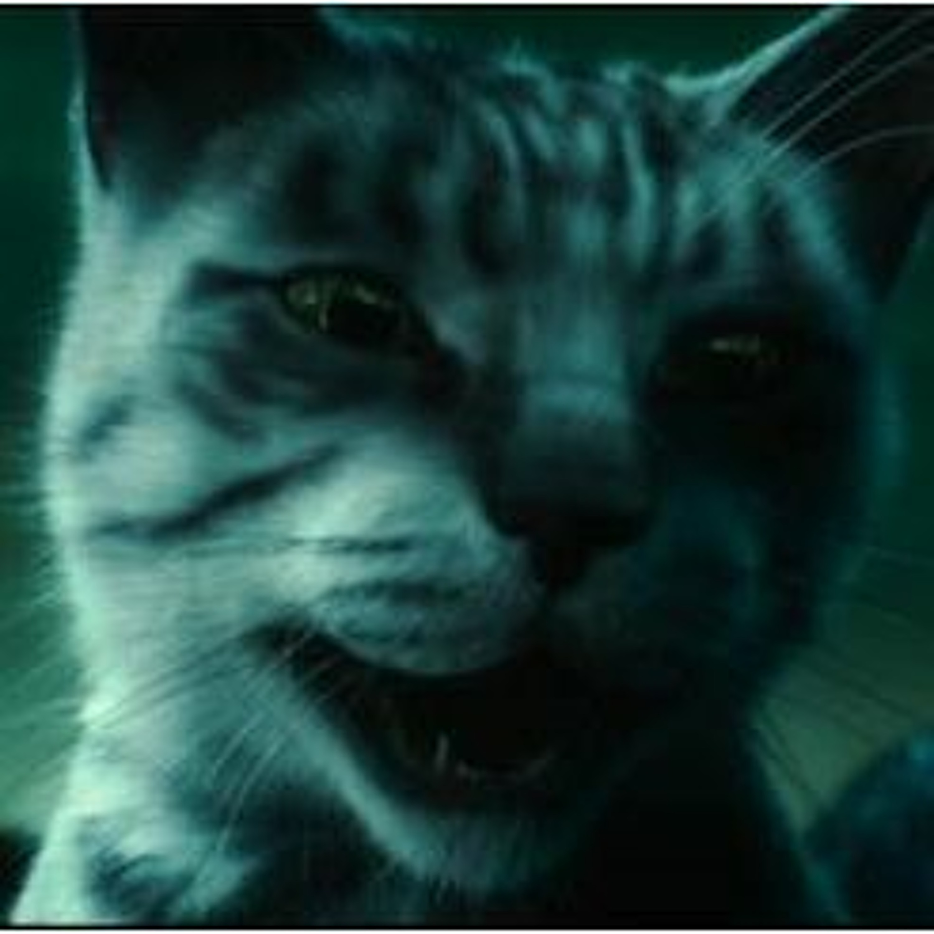 No Such Thing As A Bad Movie