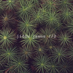 Jiddu Jawns //2