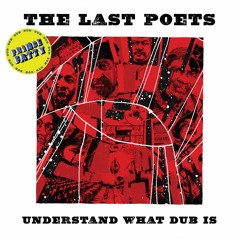 The Last Poets - Rain Of Terror (Prince Fatty Dub)