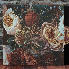 B-Side - Rosebuds (12" Vinyl - Out now)