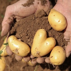 Good Food - welche Lebensmittel braucht die Zukunft?