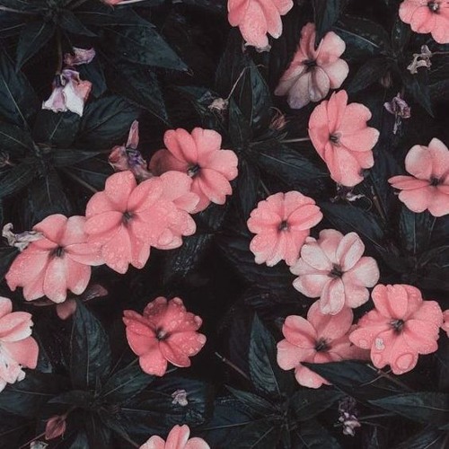 두사랑 (Two Lovers) (Feat. Mad Clown)