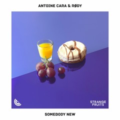 Antoine Cara, RØDY - Somebody New