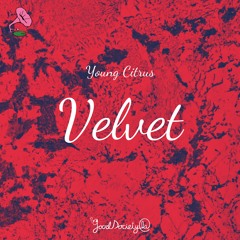 Young Citrus - Velvet
