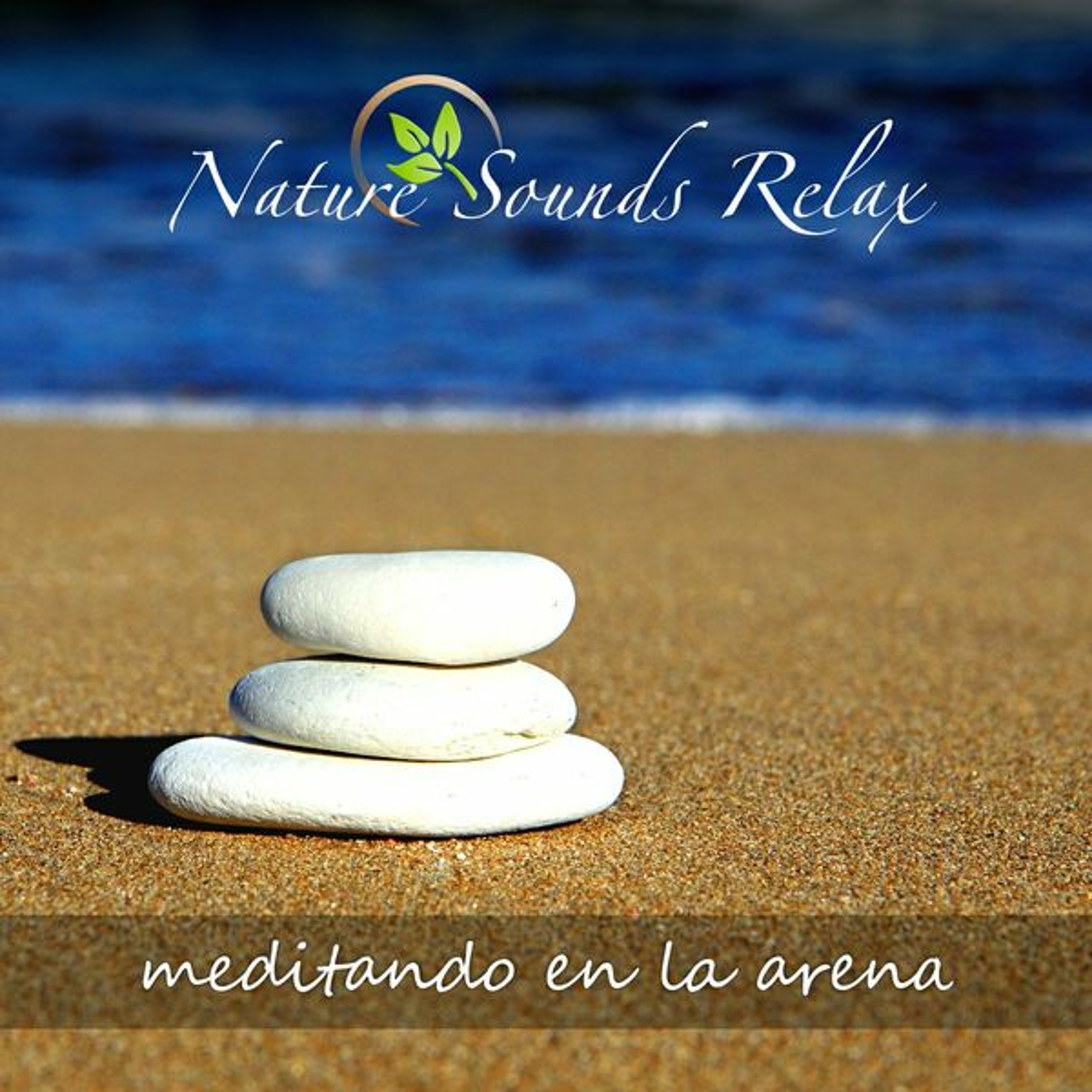 Sonidos Saludables