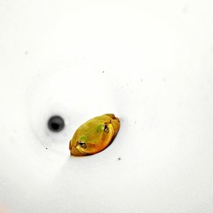 19.01.24 Tech House_snippet