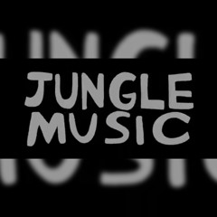 BENNY PAGE & $PYDA - JUNGLE MUSIC - BASSLAYERZ RECORDINGS - BBC RADIO 1 RIP (FORTHCOMING)