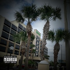 Palm Tree (Feat. Lil Zip & BagBoy)
