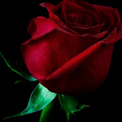 Emotional (Heavy x Smooth)