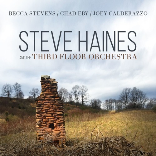 Steve Haines And The Third Floor Orchestra By Steve Haines On