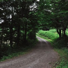 Along The Trail
