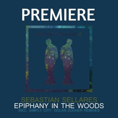 PREMIERE: Sebastian Sellares - Epiphany In The Woods (Golan Zocher Remix) [Or two strangers]
