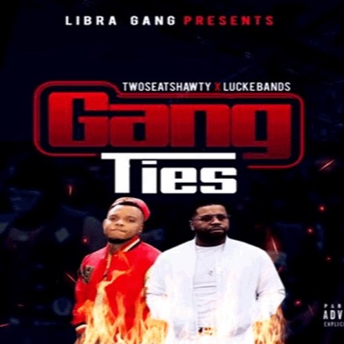 LibraGang - Do To Much