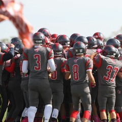 20 Minutes- Dragan Teonic South Elgin