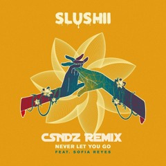 Slushii - Never Let You Go (feat. Sofia Reyes) [CSNDZ REMIX]