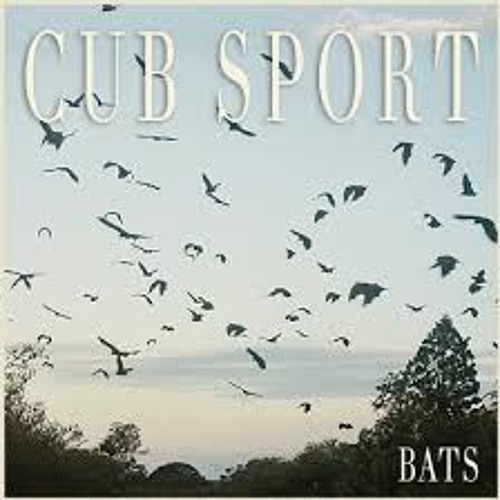 Cub Sport - Hawaiian Party (ft. Dolan Twins)