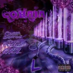 COBAIA -  SVNTO x JPereira x GRZ (Prod. blnd)