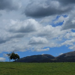 No Hay Mal Que Dure - Zoe (Cover)