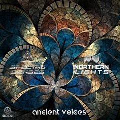 Spectro Senses & Northern Lights - Ancient Voices (Original Mix) Preview [Antu Records]
