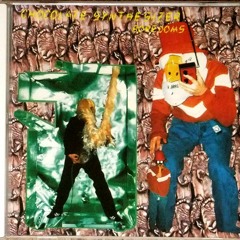 Boredoms — Acid Police